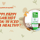 Happi Pappi Vegan Hot Cocoa: Is Iced Cocoa Healthy?